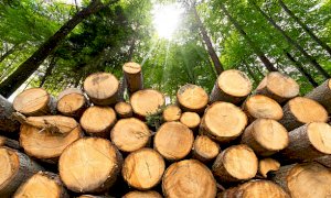 Crisi energetica, Coldiretti Cuneo: 