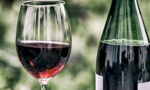 Certificazione di sostenibilità: i vantaggi per le imprese vitivinicole