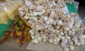 Il 19 e 20 novembre a Caraglio torna 