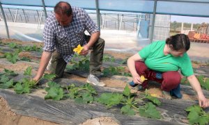 Cia Consulenze organizza corsi di formazione per chi lavora nei settori agricolo e agroalimentare