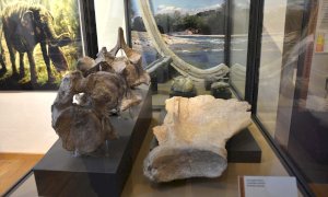 Il 6 novembre visite guidate gratuite al Museo “F. Eusebio” e alle aree archeologiche del centro di Alba