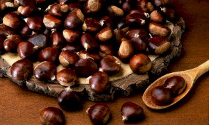 Dal bosco al piatto, la castagna Cuneo IGP 