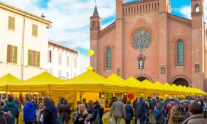 Campagna Amica Day, Coldiretti Cuneo: 