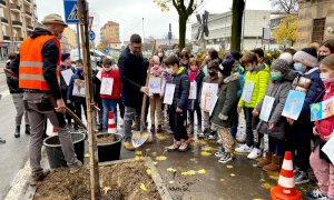 Lunedì 21 novembre a Saluzzo la Festa dell'Albero