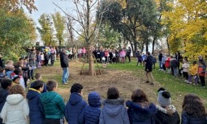 Anche Bra ha celebrato la “Festa dell’albero”