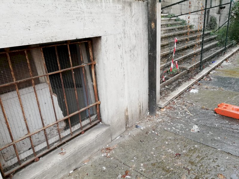 I piccioni “bombardano” Cuneo? “Pronti ad aumentare i turni di pulizia dei portici”