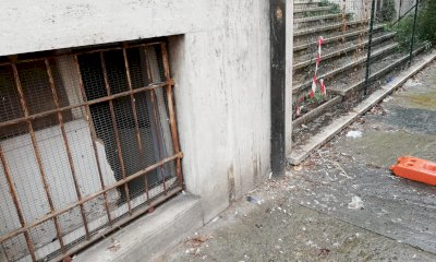 I piccioni “bombardano” Cuneo? “Pronti ad aumentare i turni di pulizia dei portici”