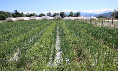 Cia Cuneo organizza cinque incontri per presentare la nuova Politica Agricola Comune