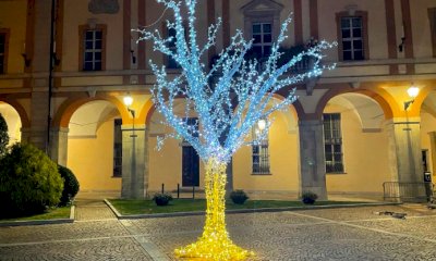 Cuneo, acceso l'albero simbolo del risparmio energetico in piazzetta Audiffredi