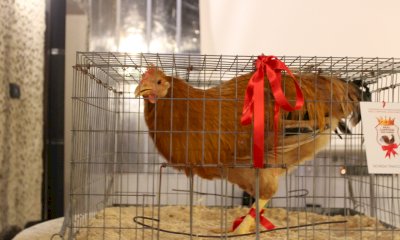 Torna a Racconigi la tradizionale fiera di Santa Lucia