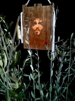 “PASSIO” con i rami d’ulivo