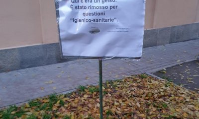 Ripiantano un gelso là dove era stato rimosso: a Racconigi un episodio di 