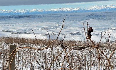 Neve, Coldiretti Cuneo: 