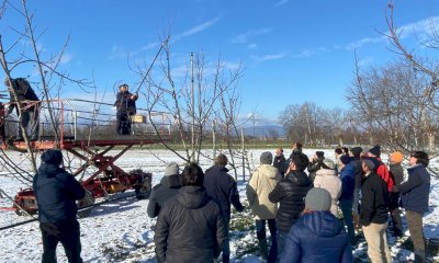 Noce, Coldiretti Cuneo: 
