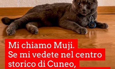 Cuneo, appello per ritrovare Muji: si è perso in via Roma