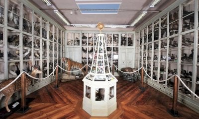 Musei civici di Bra: appuntamento a fine febbraio