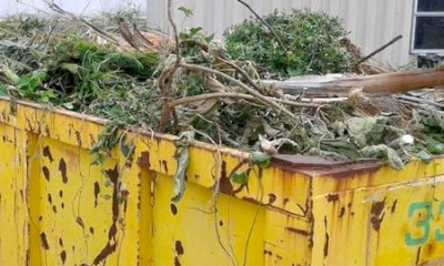 Inagibile per alcuni giorni il cassone per la raccolta del verde di Pollenzo