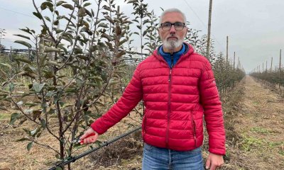 Il Green Deal europeo ipotizza la riduzione del 50% dei pesticidi e un più 25% delle superfici bio 