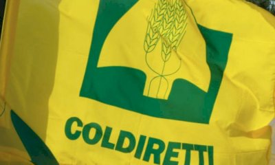 Epifania, Coldiretti Piemonte: 