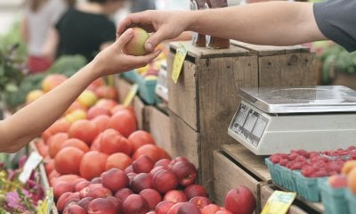 Ortofrutta in crisi, Confagricoltura: 