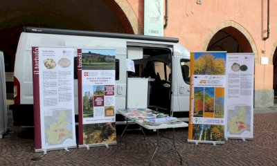 Alba: presentazione delle domande di indennità per la conservazione del patrimonio tartufigeno