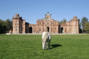 Cavalli e Cavallini alla corte della signora Ferrari - EVENTO ANNULLATO