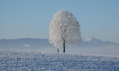 Neve in arrivo, allerta gialla nel sud del Piemonte