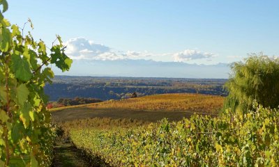 Nuove regole per partecipare ai bandi delle 21 misure agroambientali previste dalla Regione 