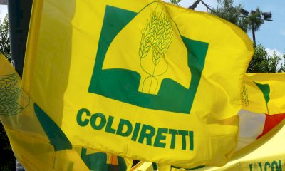 Consumi, Coldiretti Cuneo: 