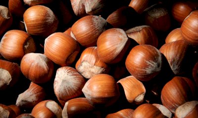 Carnevale, Coldiretti Cuneo: la Nocciola Piemonte 