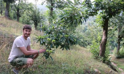 Castagne di montagna, il 2022 è stato difficile e complicato e il 2023 rappresenta un’incognita