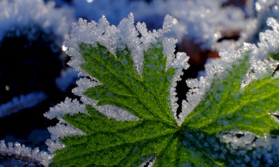 Il freddo non cancella la siccità: in Piemonte regna l’alta pressione