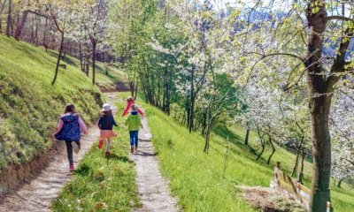 “Bisogna risolvere il problema delle speculazioni sui prodotti agricoli lungo la filiera”