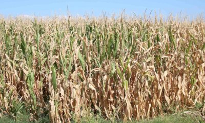 “Se non piove, per il 2023 c’è il rischio di una stagione peggiore di quella passata” 