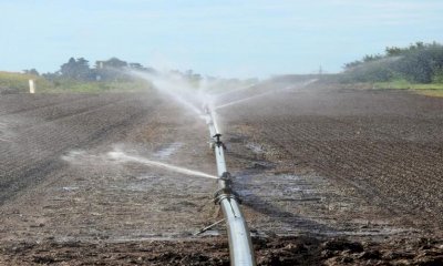 Dalla Regione 55 milioni per i Consorzi irrigui e di bonifica per il periodo 2023-2027