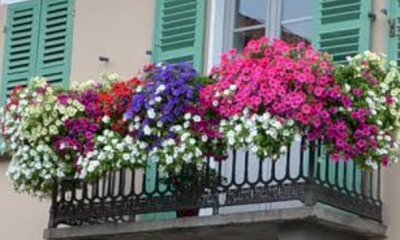 Aperte le iscrizioni al concorso “Alba in fiore”