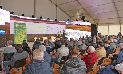 Domani prendono il via gli appuntamenti del MAG nel padiglione Agrimedia