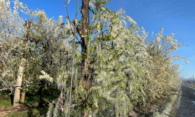 Nella notte passata picchi fino a 4 gradi sotto lo zero, danni in fase di verifica per la frutticoltura