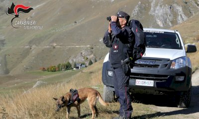 Nel 2022 i Carabinieri Forestali cuneesi hanno effettuato 11.930 servizi di controllo