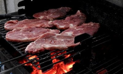 Carne sintetica, Più Europa boccia il no del governo: “Delirio sovranista. Difendiamo la scienza”