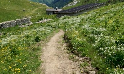 Mountain bikes o alpeggi? Il progetto escursionistico non piace al Comune di Magliano Alpi