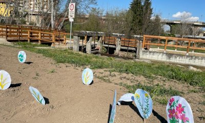 Busca, una seconda oasi per la biodiversità nel Parco del Maira