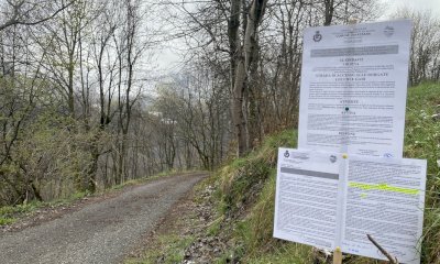 Paesana: il Comune ordina il taglio piante lungo strada di accesso alle borgate Lucchi e Gari