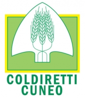 Coldiretti: Tartufo, no a generiche denominazioni
