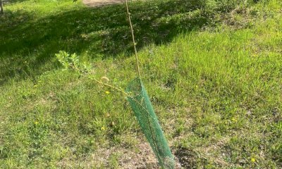 Alba: sopralluogo dell’amministrazione al Percorso Vita di San Cassiano
