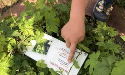 Sabato 29 aprile a Chiusa di Pesio torna 