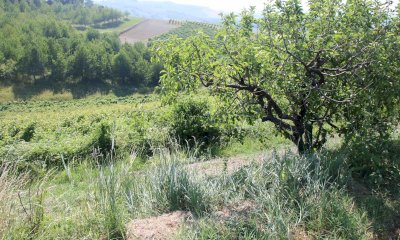 Cia Cuneo soddisfatta dei bandi agroambientali, ma chiede una proroga della scadenza  