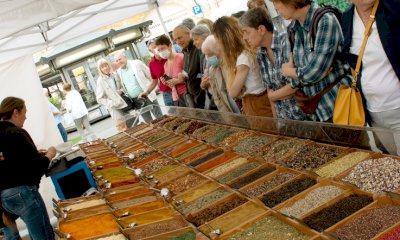 Le erbe, le spezie e i fiori di “Quintessenza” invadono di colori e profumi la città di Savigliano