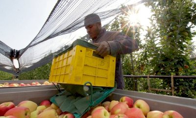 Decreto flussi, per Coldiretti le quote dei lavoratori stranieri sono insufficienti per le esigenze produttive