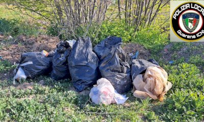 Rifiuti abbandonati nelle campagne di Guarene, individuati i responsabili